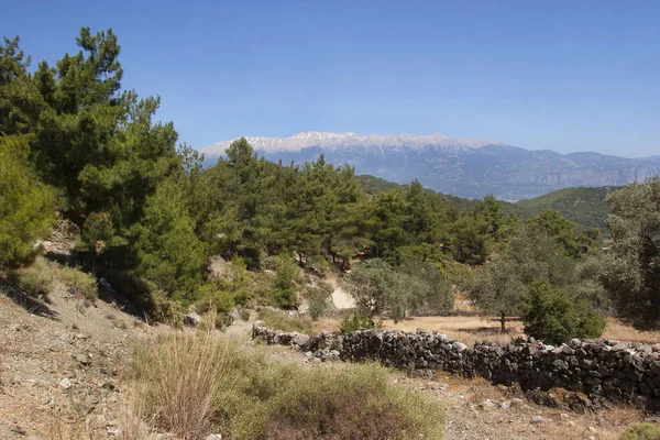 Dağların güzel manzarası