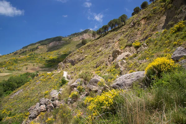 Paisagem Rural Com Flores Florescendo Entre Montanhas Sicília — Fotografia de Stock