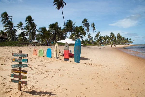 Belle Vue Sur Plage Tropicale — Photo