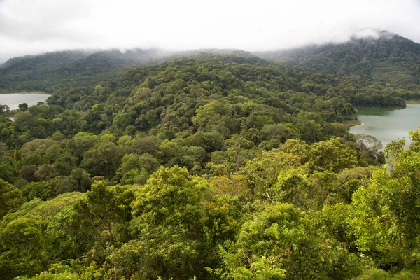 Pemandangan Danau Kawah Panorama Dengan Hutan Hujan Lebat Perbukitan Sekitarnya — Stok Foto