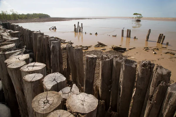 Drewniane Molo Plaży — Zdjęcie stockowe