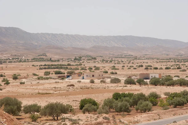 Landscape Negev Desert Israel — Stock Photo, Image