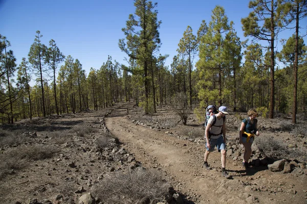 İnsanlar çöl dağlarında yürüyüş yapıyor.