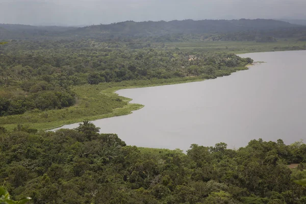 Tropikal yeşillik ve nehir manzarası