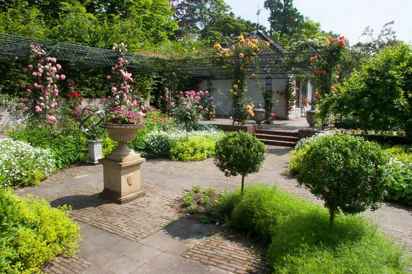 Frodig Grön Trädgård Scen Med Blommande Blommor — Stockfoto