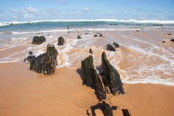 Kumu ve mavi gökyüzü olan güzel sahil