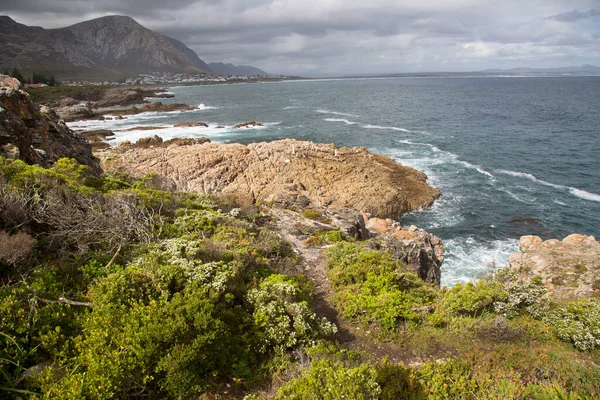 Rugged Rocky Coastline South Africa Low Growing Flowering Fynbos Vegetation Stock Image