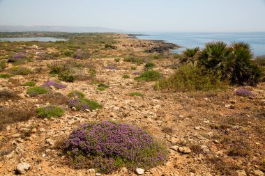 Doğanın güzel manzarası