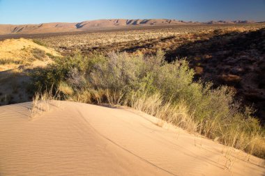 Çölün güzel manzarası