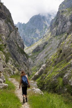 Sırt çantalı bir kadın dağda yürüyüş yapıyor.
