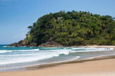 Terkedilmiş ve el değmemiş tropikal sahilde palmiye ağaçları ve kum