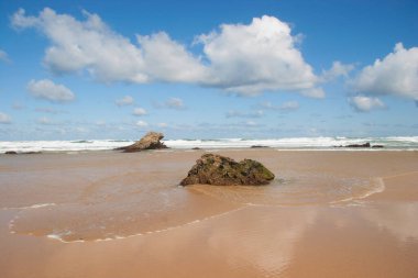 Mavi gökyüzü ve beyaz bulutlarıyla güzel bir sahil.