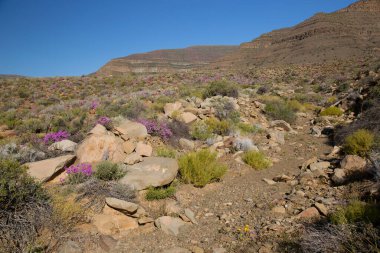 Arkasında dağlar olan güzel bir manzara.