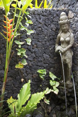 Yeşil bitkiler arasında pınarlar vardır.