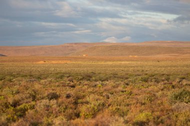 Alan ile güzel manzara 