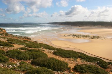 Dalgalı bir okyanusun kayalık kıyı şeridi ve manzarası 
