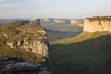 Güneşin yemyeşil olduğu kayalık manzaralı güzel bir manzara.
