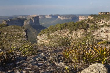 Güneşin yemyeşil olduğu kayalık manzaralı güzel bir manzara.