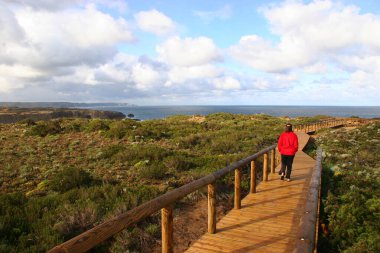 Dalgalı bir okyanusun kayalık kıyı şeridi ve manzarası 
