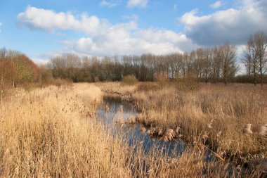 Arka planda nehir ve göl olan güzel bir manzara.