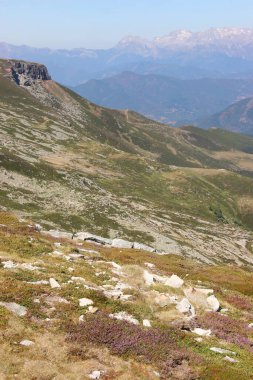 Doğanın güzel manzarası