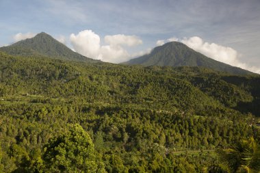 Yoğun yeşil yağmur ormanı manzarası ve arka planda kalderanın tepesi bir volkan.