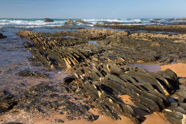Deniz kıyısının güzel manzarası