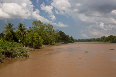 Palmiye ağaçları ve mavi gökyüzü olan güzel tropikal plaj