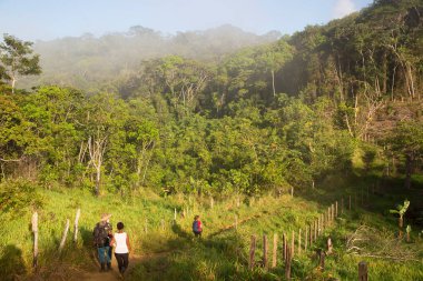 Bereketli orman sahnesinde yürüyüş yapan bir grup insan, seyahat sahnesi.