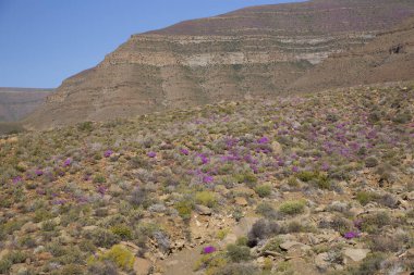 Arkasında dağlar olan güzel bir manzara.
