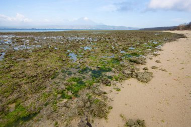 Deniz ve mavi gökyüzü olan güzel sahil 