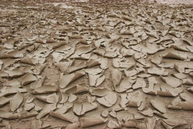 Toprağın kumdaki dokusu