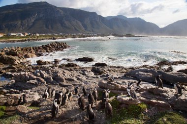 Güzel deniz manzarası