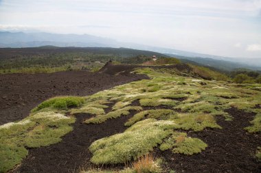 Etna Dağı 'nın krater kenarı lav tarlaları ve dik yamaçlar. Çakıl taşlarıyla kaplı. Güçlü öncü bitkiler tarafından büyütülmüş.
