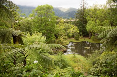 Dağların güzel manzarası