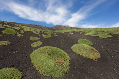 Etna Dağı 'nın krater kenarı lav tarlaları ve dik yamaçlar. Çakıl taşlarıyla kaplı. Güçlü öncü bitkiler tarafından büyütülmüş.