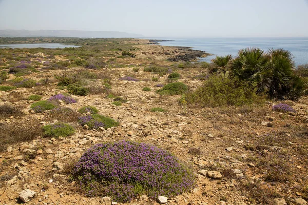 Doğanın güzel manzarası