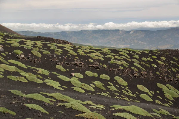 Cráter Borde Campos Lava Del Etna Monte Pendientes Empinadas Con —  Fotos de Stock