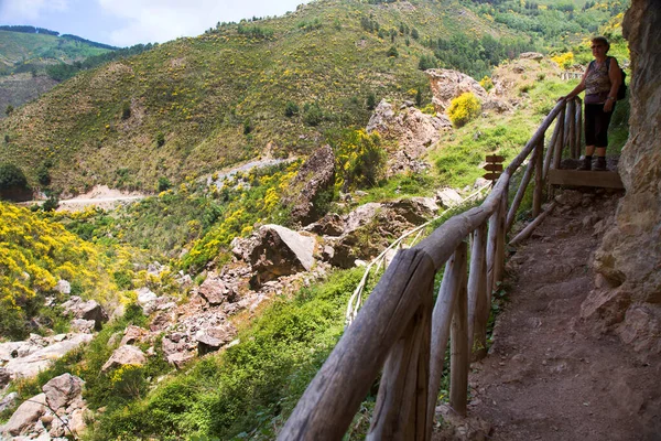 Dağların güzel manzarası