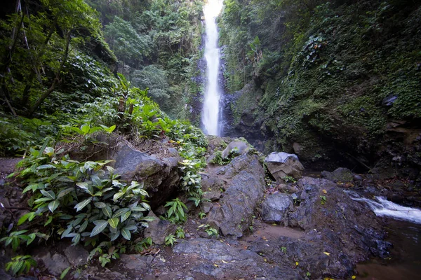 Ormanda güzel bir şelale
