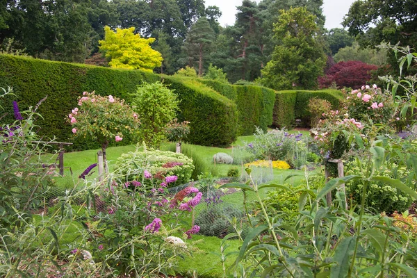 Hermoso Jardín Verano Con Plantas Verdes —  Fotos de Stock