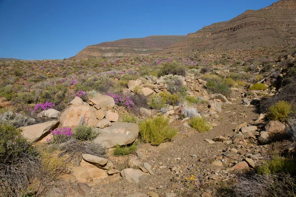 Arkasında dağlar olan güzel bir manzara.