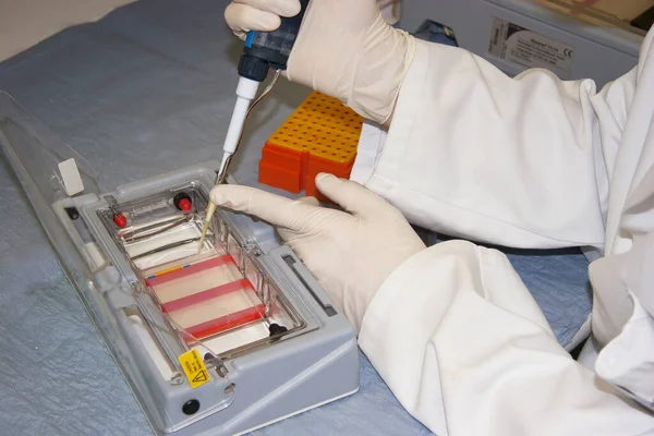 Beyaz Önlüklü Bir Adam Laboratuarda Test Tüpü Kırmızı Bir Sıvı — Stok fotoğraf