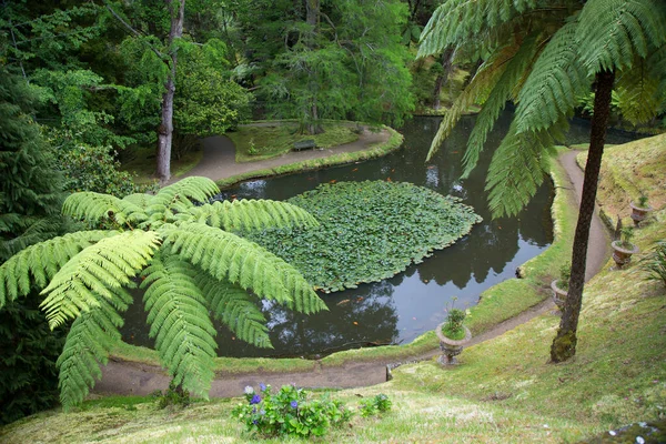 Güzel botanik fotoğrafı, doğal duvar kağıdı.