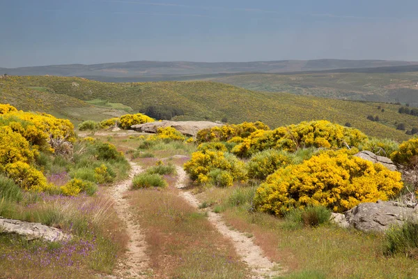 Dağların güzel manzarası. 