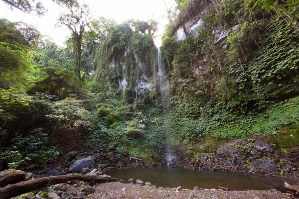 Bela Cachoeira Fundo Com Uma Planta Verde — Fotografia de Stock