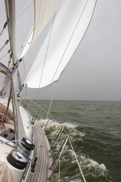 Segelbootrennen Meer — Stockfoto