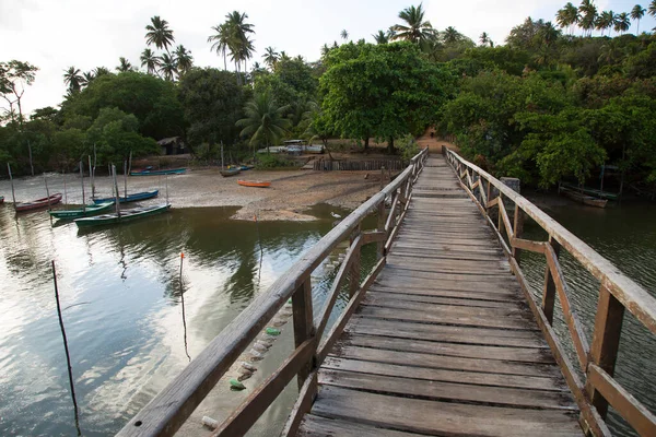 stock image fishing boats moored at beach with tropical greenery 