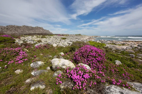 Doğanın güzel manzarası