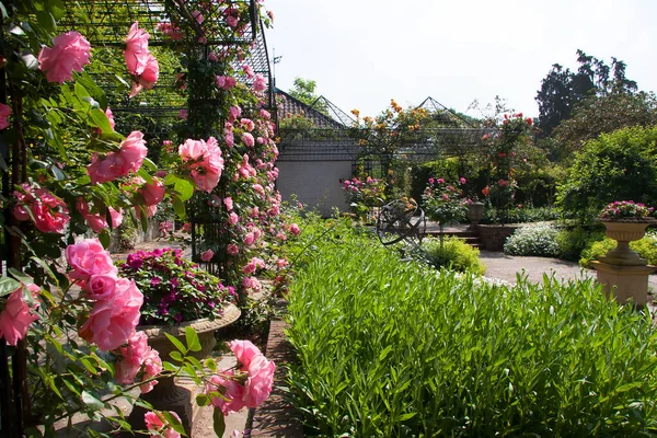 花が咲く緑豊かな庭の風景 — ストック写真